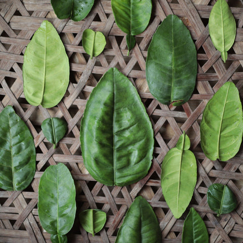 Rituals of Renewal: The Art of Pomelo Leaf Bathing