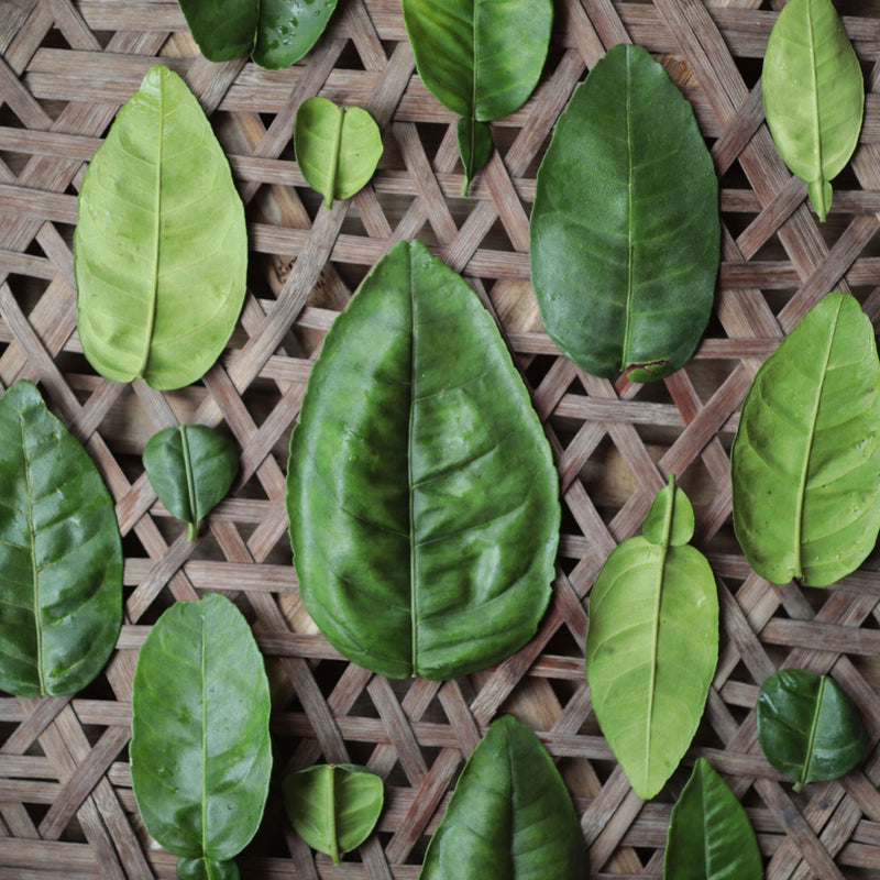 Pomelo Leaf
