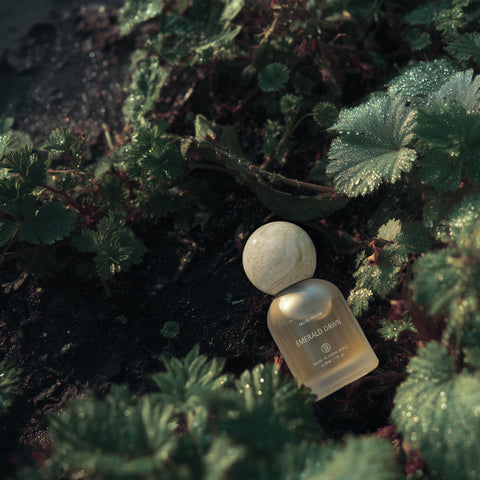 Basic Perfume - Emerald Dawn bottle nestled in dewy green foliage
