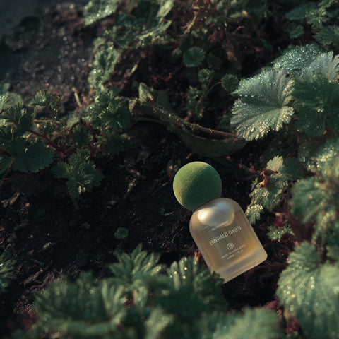 Basic Perfume - Emerald Dawn