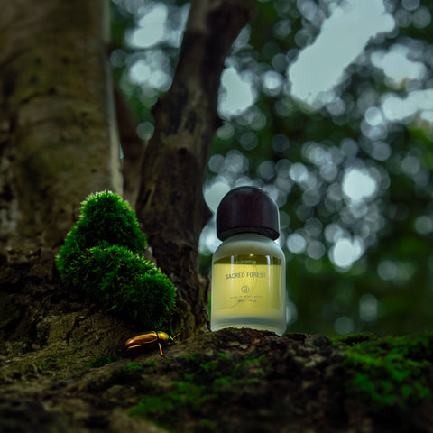 Basic Perfume - Sacred Forest