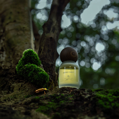 Basic Perfume - Sacred Forest 神聖森林 淡香水
