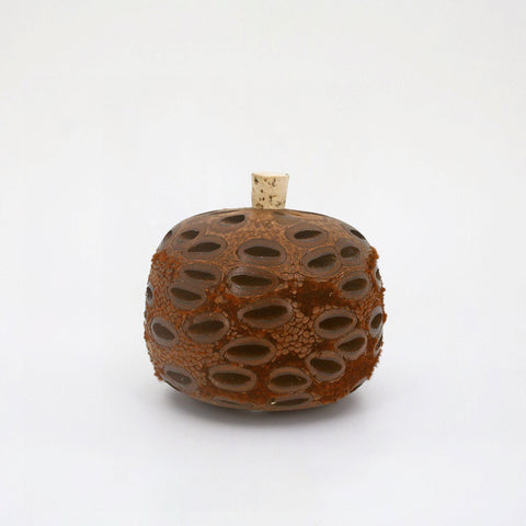 Natural Aroma Diffuser Pod - Banksia