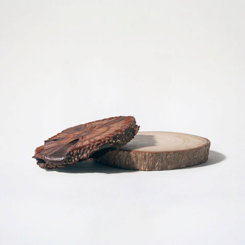 Banksia and Mango Wood Coaster