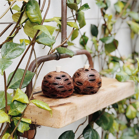 Natural Aroma Diffuser Pod - Banksia