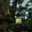 Basic Perfume - Sacred Forest